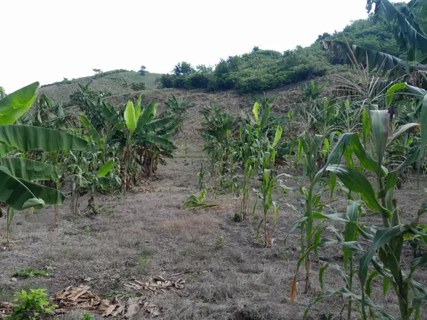 Terreno en venta en Santa Águeda, Papantla — foto 3 de 15