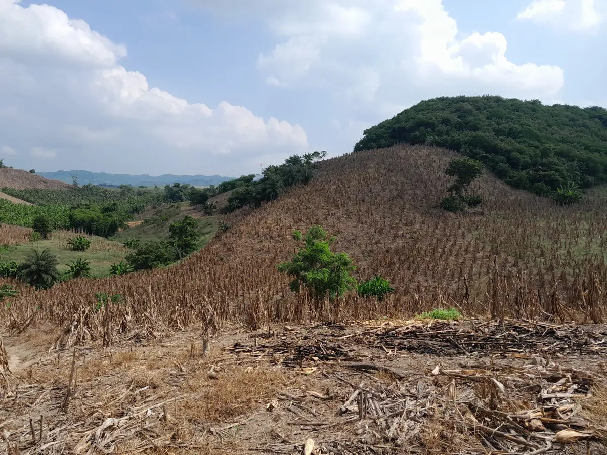 Terreno en venta en Santa Águeda, Papantla — foto 1 de 15