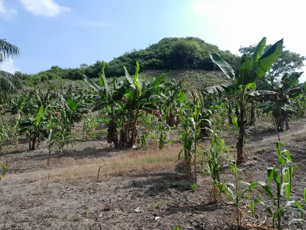 Terreno en venta en Santa Águeda, Papantla — foto 2 de 15