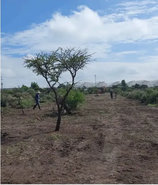 Terreno en venta en El Toreador, San Miguel de Allende — foto 3 de 6