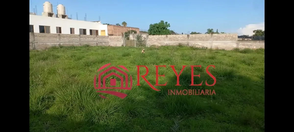 Terreno en venta en Pazulco, Yecapixtla — foto 1 de 7