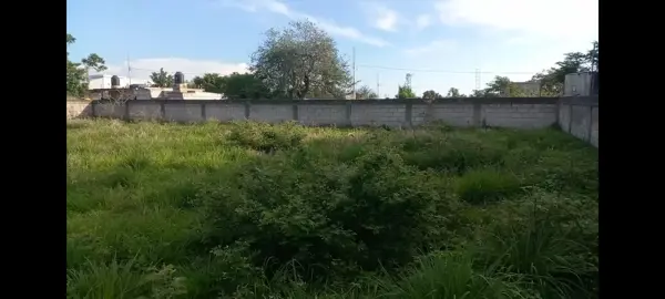 Terreno en venta en Pazulco, Yecapixtla — foto 2 de 7