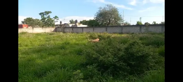 Terreno en venta en Pazulco, Yecapixtla — foto 3 de 7