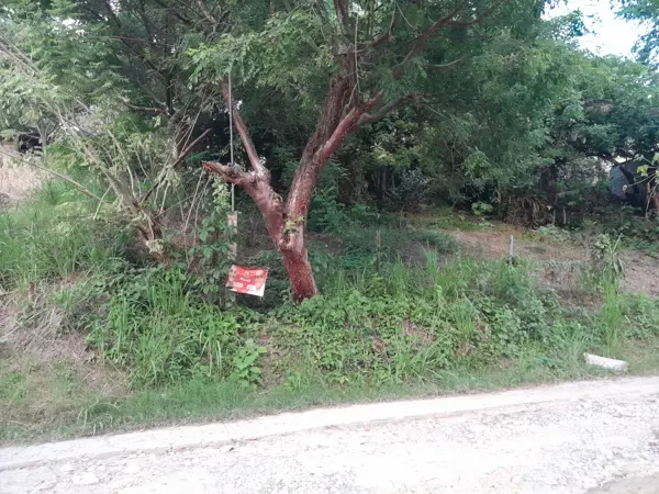 Terreno en venta en Prensa Nacional, Poza Rica de Hidalgo — foto 2 de 8