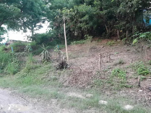 Terreno en venta en Prensa Nacional, Poza Rica de Hidalgo — foto 3 de 8