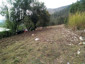 Terreno en venta en Tetela de Ocampo, Tetela de Ocampo — foto 2 de 41