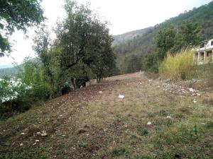 Terreno en venta en Tetela de Ocampo, Tetela de Ocampo — foto 3 de 41