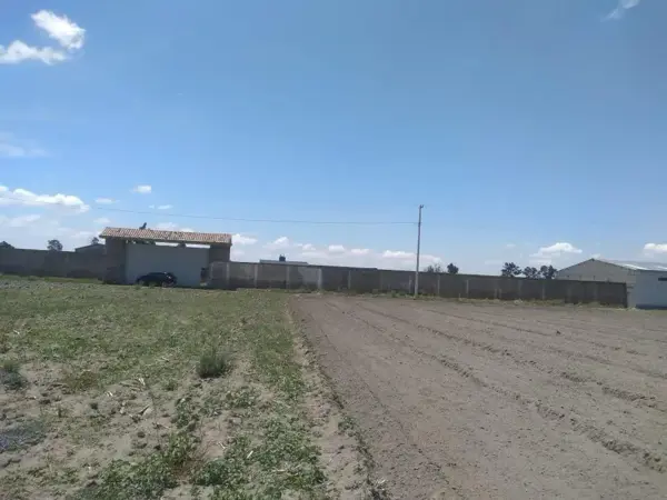 Terreno en venta y renta en Chipilo de Francisco Javier Mina, San Gregorio Atzompa, Puebla