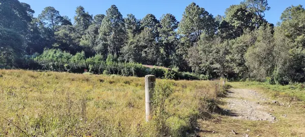 Terreno en venta en Mesa de Jaimes, Valle de Bravo — foto 3 de 6