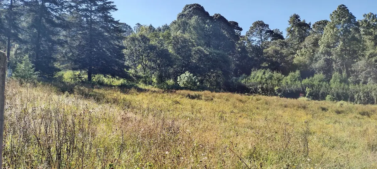 Terreno en venta en Mesa de Jaimes, Valle de Bravo — foto 1 de 6
