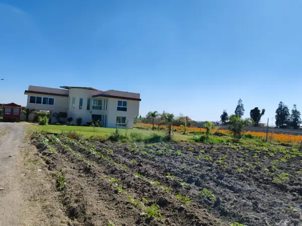 Terreno en venta en Zerezotla, San Pedro Cholula — foto 3 de 7