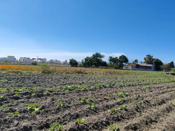 Terreno en venta en Zerezotla, San Pedro Cholula — foto 2 de 7