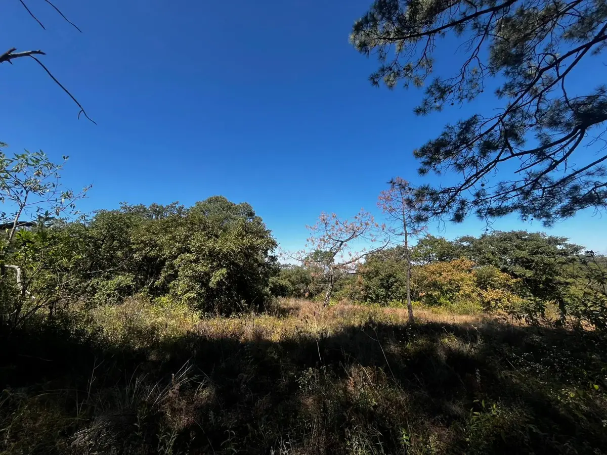 Terreno en venta en Jesus del Monte, Morelia — foto 1 de 11