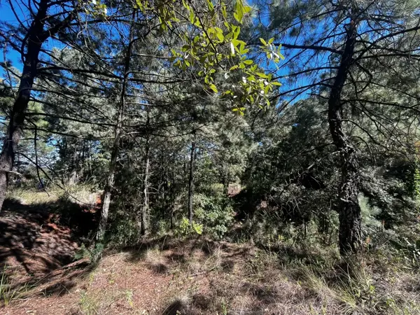 Terreno en venta en Jesus del Monte, Morelia — foto 2 de 11