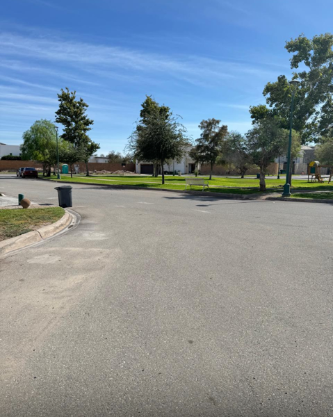 Terreno en venta en Las Villas, Torreón — foto 3 de 4