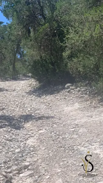 Terreno en venta en Los Lirios, Arteaga — foto 3 de 4