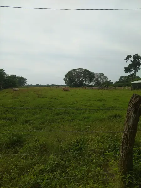Terreno en venta en Barra de Cahoacán (El Chical), Suchiate — foto 2 de 15