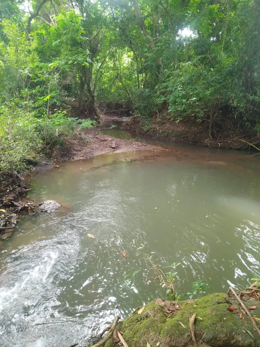 Terreno en venta en Barra de Cahoacán (El Chical), Suchiate — foto 1 de 15