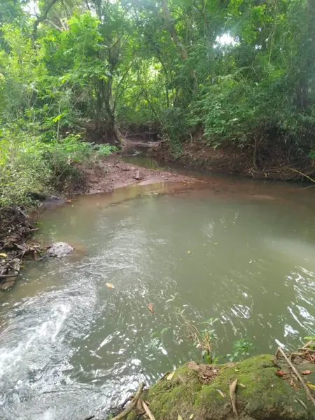 Terreno en venta en Barra de Cahoacán (El Chical), Suchiate, Chiapas