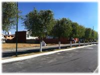 Terreno en venta en Residencial Zinacantepec, Zinacantepec — foto 2 de 6