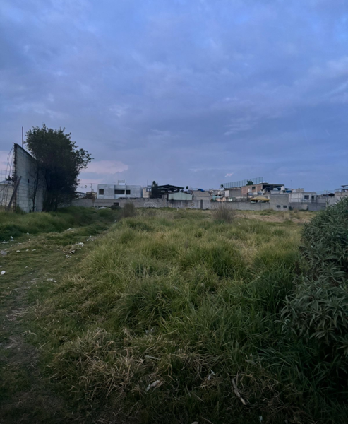 Terreno en venta en El Calvario Tepanuaya, Mexicaltzingo — foto 3 de 3