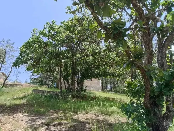 Finca-Rancho en venta en San Pedro, Huimilpan — foto 2 de 24