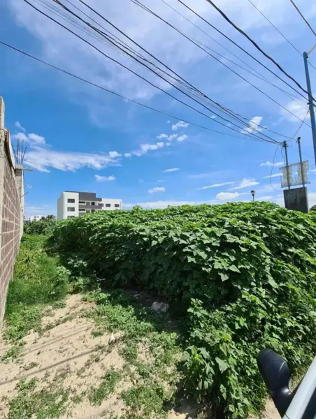 Terreno en venta en San Bernardino Tlaxcalancingo, San Andrés Cholula — foto 2 de 4