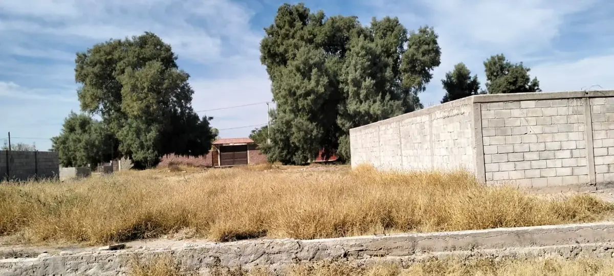 Terreno en venta en El Olivo, Matamoros — foto 1 de 11