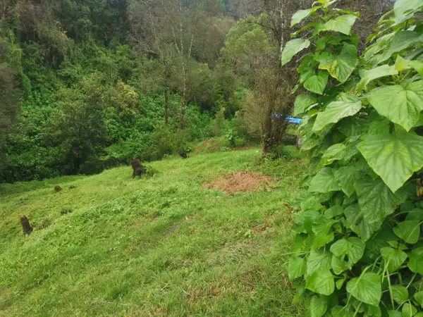 Terreno en venta en Casas Viejas, Valle de Bravo — foto 2 de 9