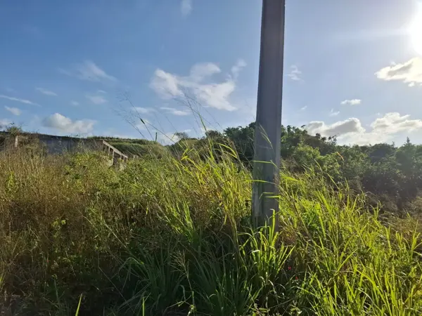 Terreno en venta en Alvarado Centro, Alvarado — foto 2 de 5