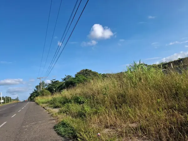 Terreno en venta en Alvarado Centro, Alvarado — foto 3 de 5