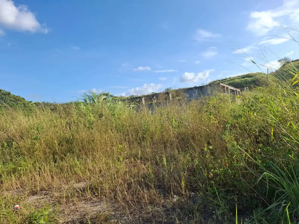 Terreno en venta en Alvarado Centro, Alvarado — foto 1 de 5