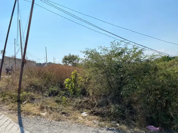 Terreno en venta en Tepetzingo, Emiliano Zapata — foto 3 de 6