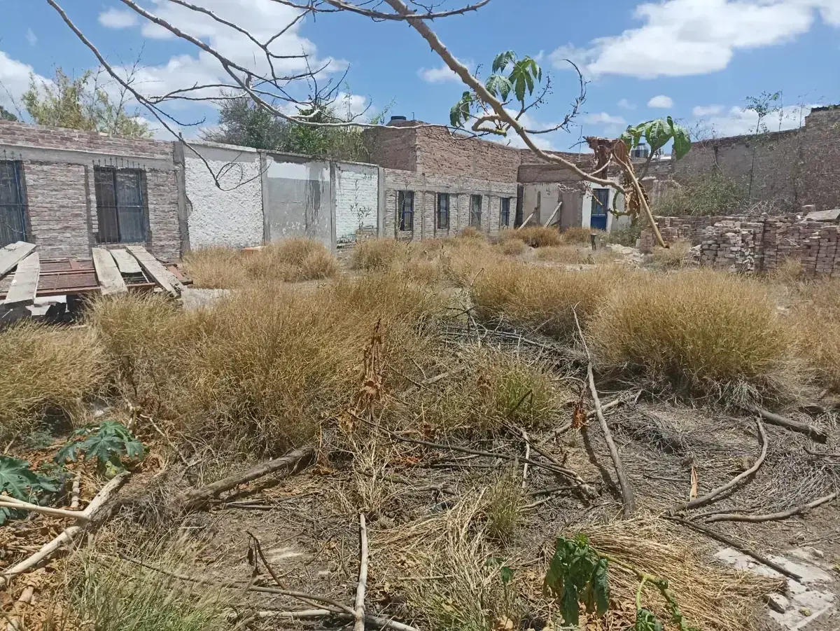 Imagen 3