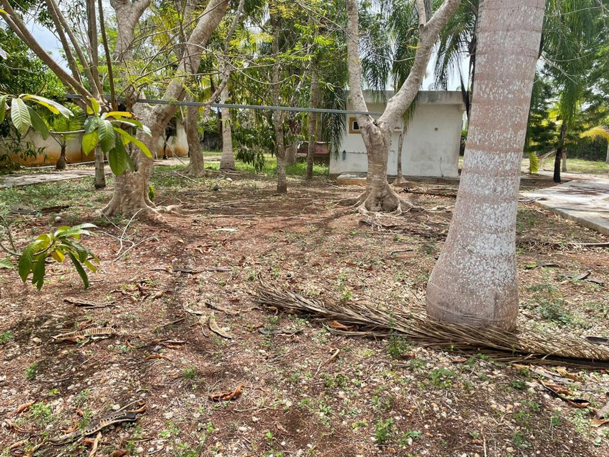 Finca-Rancho en venta en Leona Vicario, Puerto Morelos — foto 1 de 9