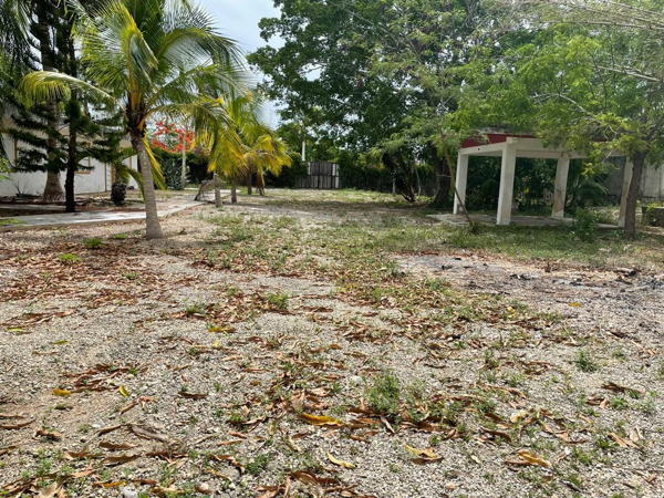 Finca-Rancho en venta en Leona Vicario, Puerto Morelos — foto 2 de 9