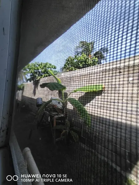 Casa en venta en Cuquita Massieu, Acapulco de Juárez — foto 2 de 11