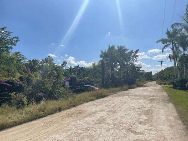 Finca-Rancho en venta en Leona Vicario, Puerto Morelos — foto 3 de 9