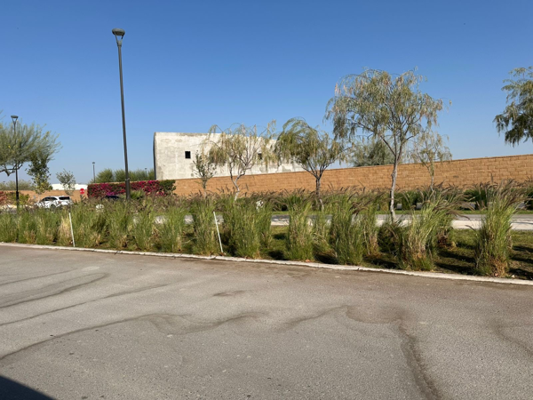 Terreno en venta en El Cardenchal, Torreón — foto 2 de 19