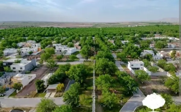 Terreno en venta en San Armando, Torreón — foto 3 de 5