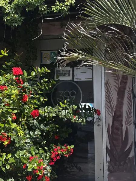 Local en renta en Jardines de Mocambo, Boca del Río — foto 2 de 20