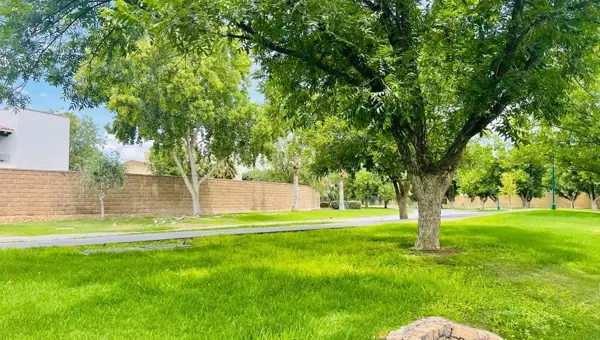 Terreno en venta en Las Villas, Torreón — foto 3 de 5