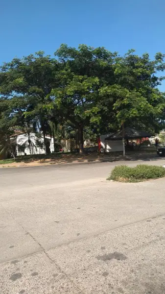 Casa en venta en El Santuario, San Juan Bautista Tuxtepec — foto 3 de 6