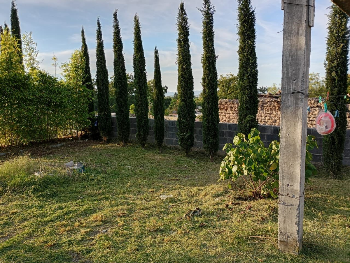 Terreno en venta en Parras de la Fuente Centro, Parras — foto 1 de 7