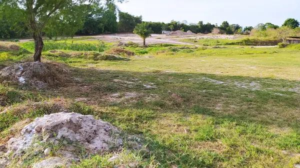 Terreno en venta en Luis Donaldo Colosio, Martínez de la Torre — foto 2 de 8