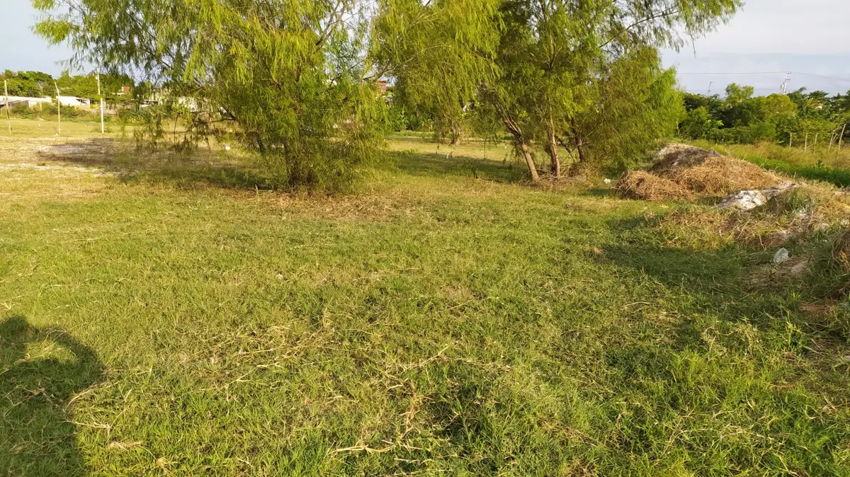 Terreno en venta en Luis Donaldo Colosio, Martínez de la Torre — foto 1 de 8