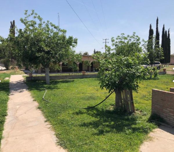 Quinta en venta en La Popular, Gómez Palacio — foto 3 de 11