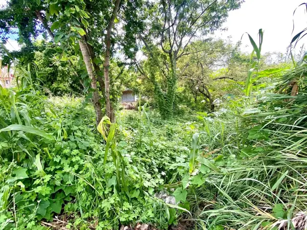 Terreno en venta en Lomas de Trujillo, Emiliano Zapata — foto 3 de 9