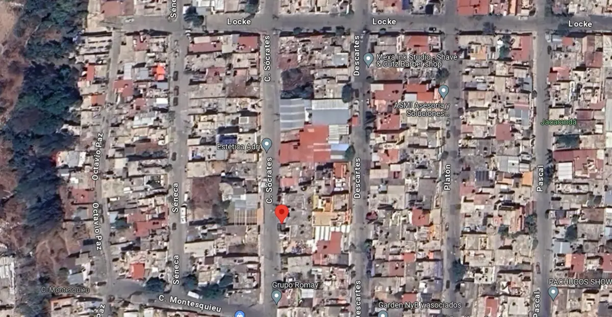 Imagen 5