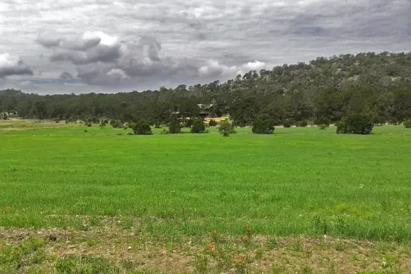 Terreno en venta en Los Llanos, Arteaga — foto 2 de 12